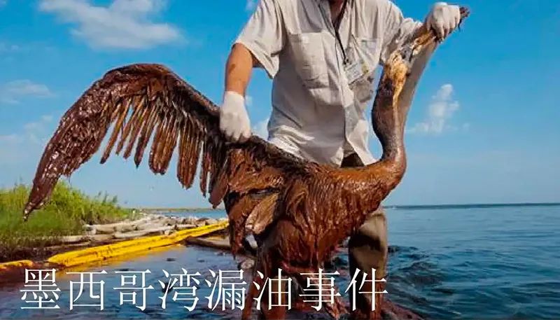 被海上溢油“染黑”的海岸线南宫NG28相信品牌环保热解技术助力守护海洋生命线